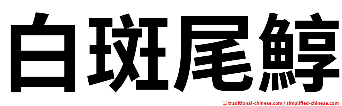 白斑尾鯙