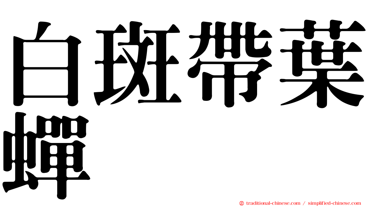 白斑帶葉蟬