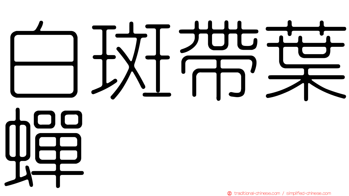白斑帶葉蟬