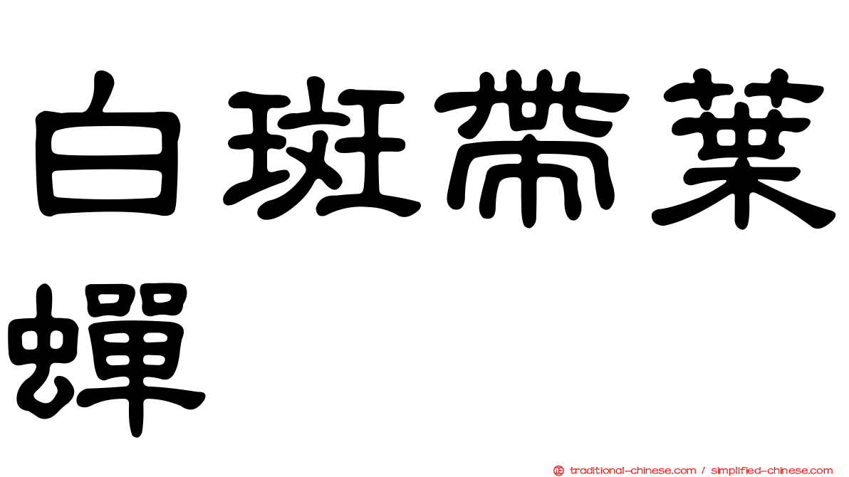 白斑帶葉蟬
