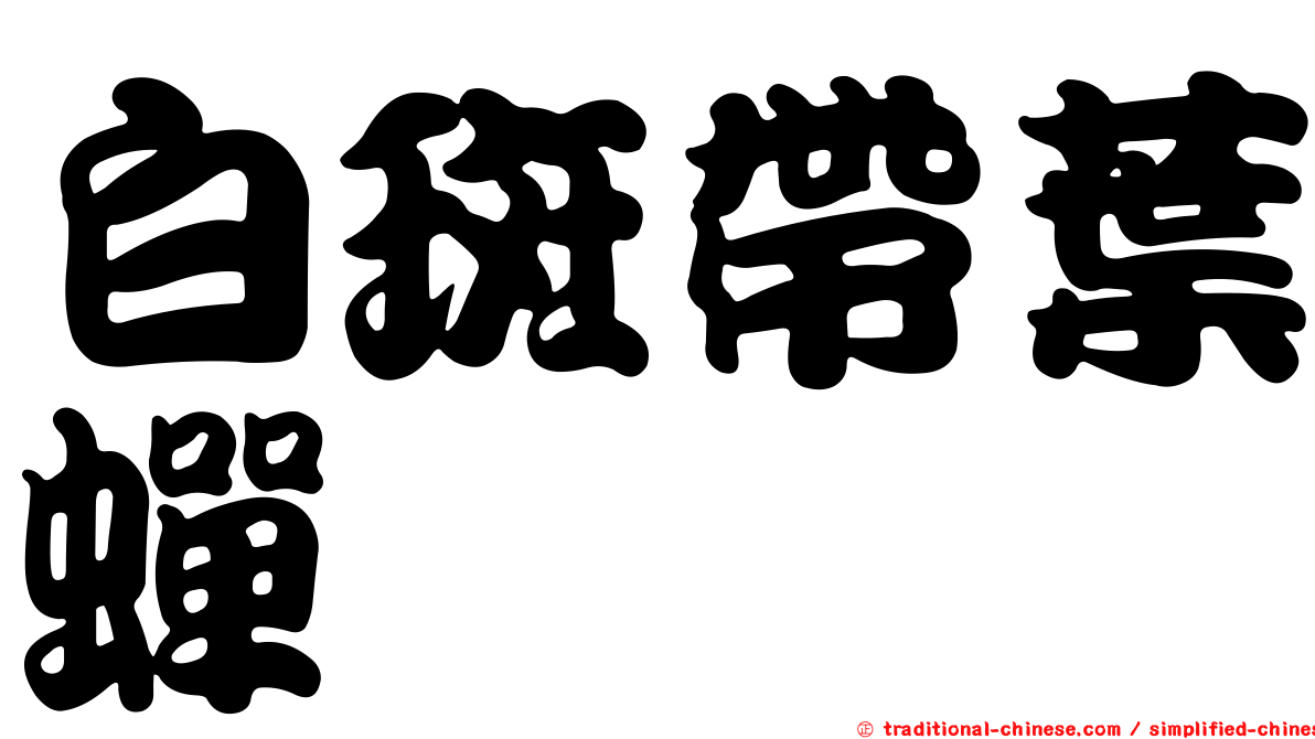 白斑帶葉蟬