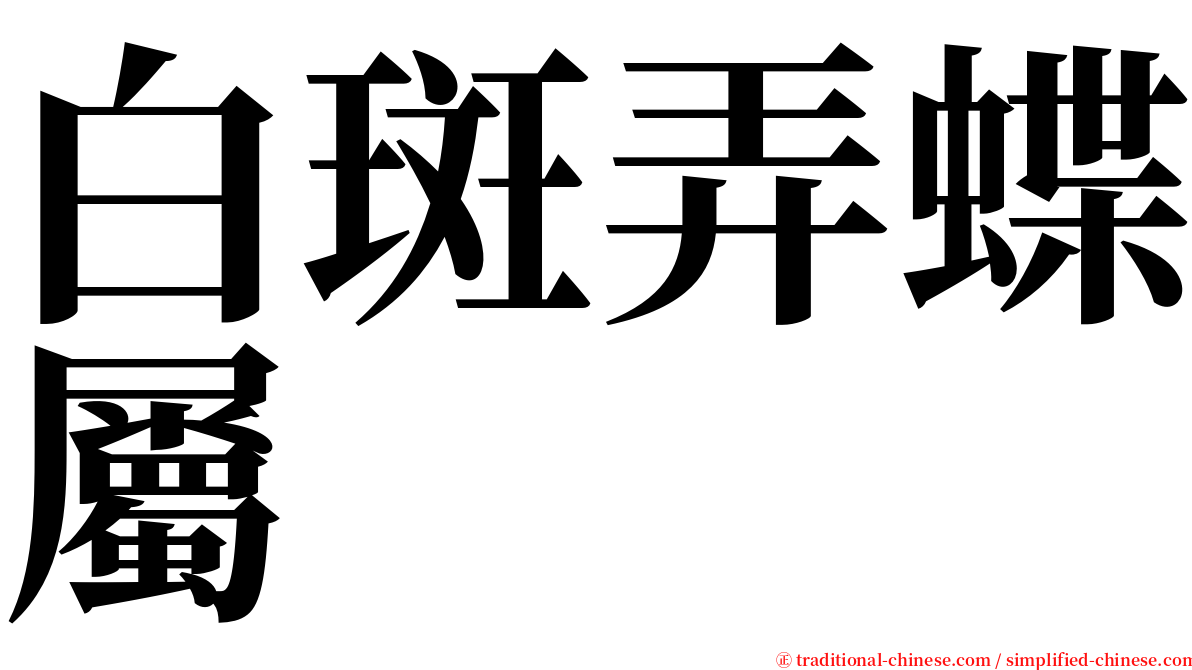 白斑弄蝶屬 serif font