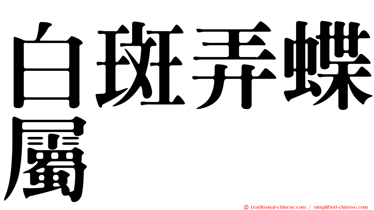 白斑弄蝶屬