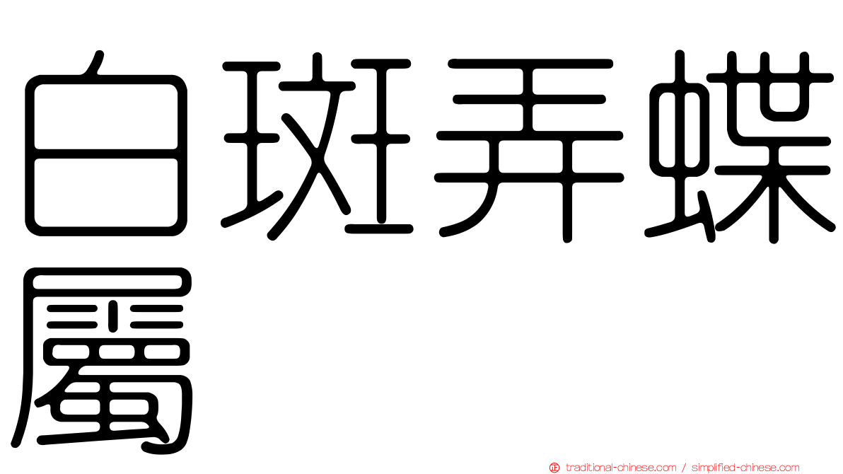 白斑弄蝶屬