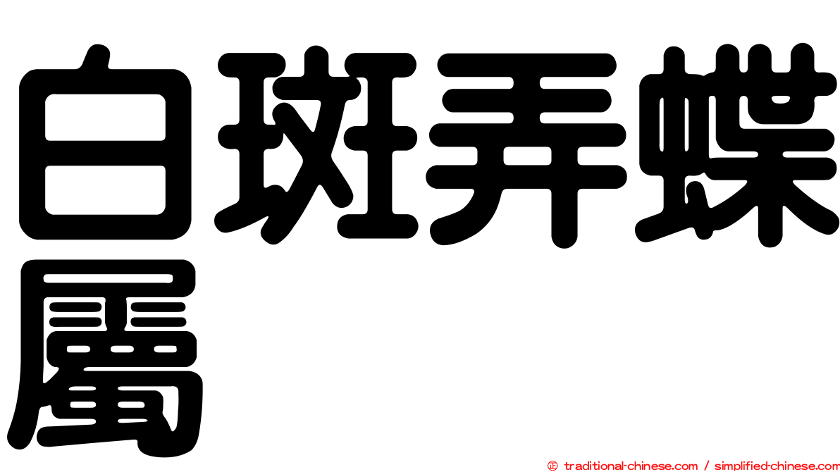 白斑弄蝶屬