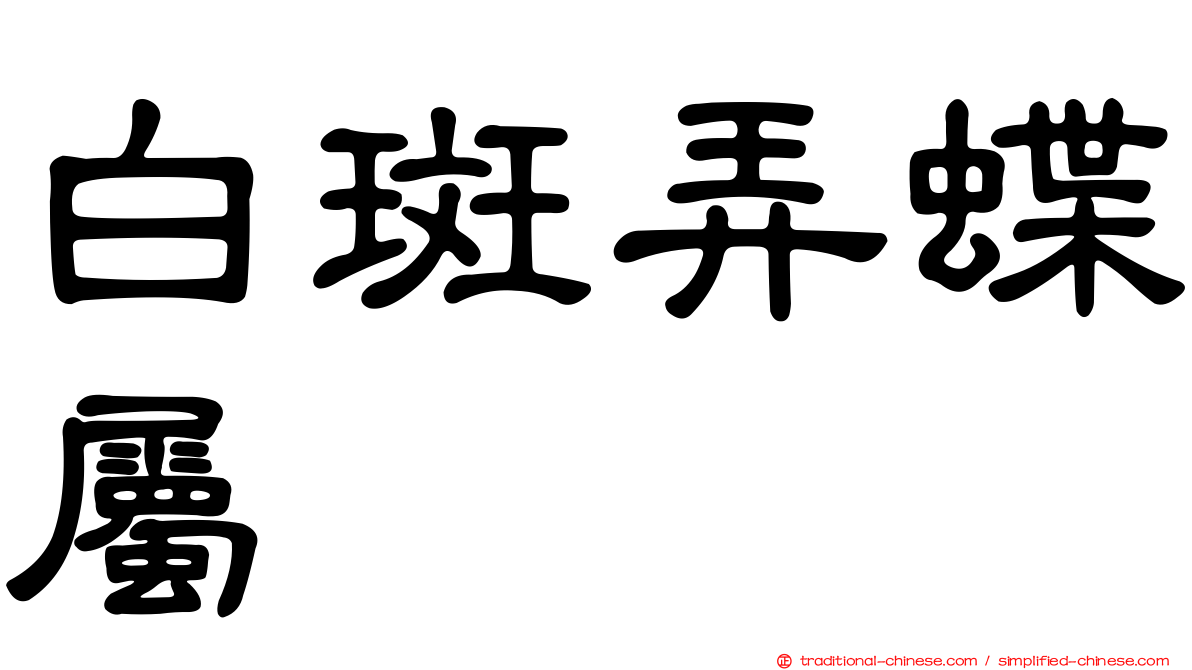 白斑弄蝶屬