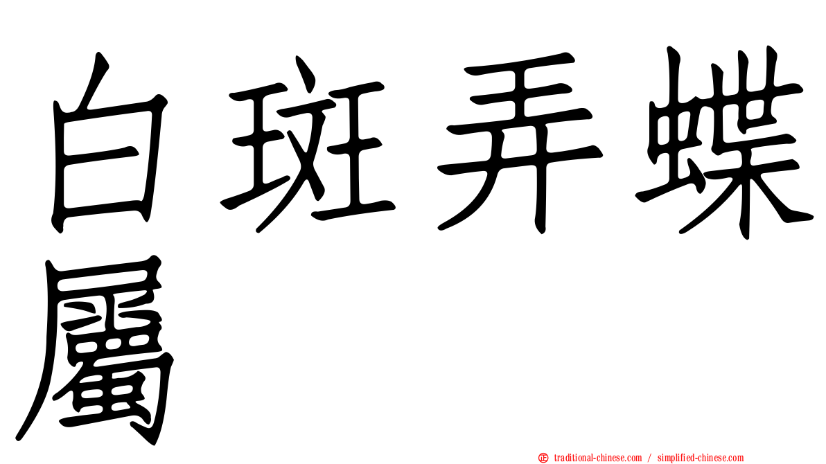 白斑弄蝶屬