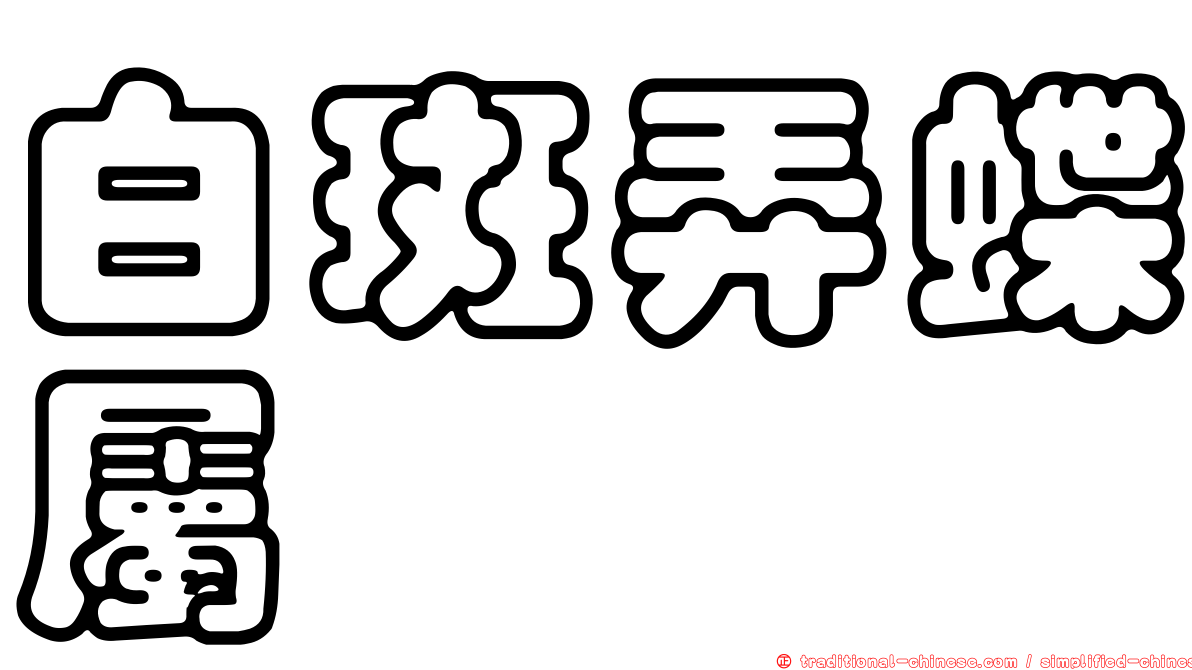 白斑弄蝶屬