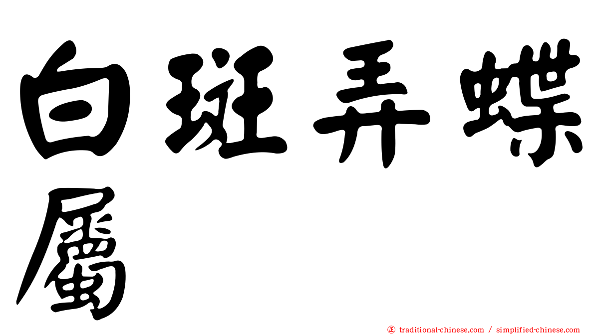 白斑弄蝶屬