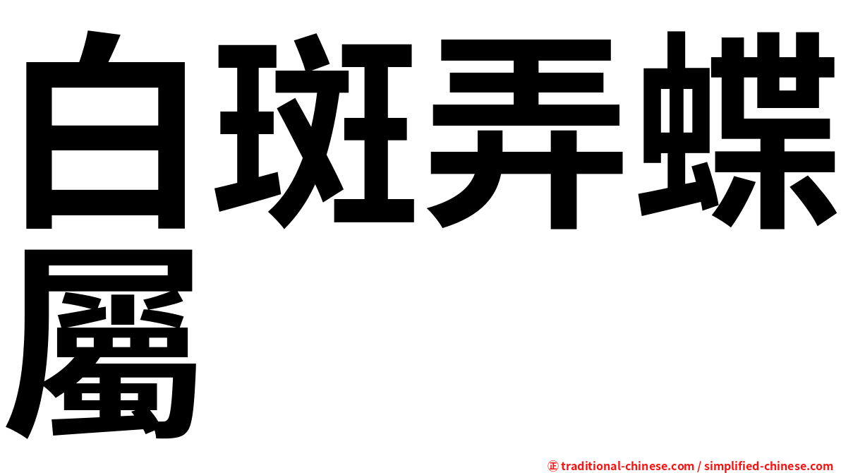 白斑弄蝶屬