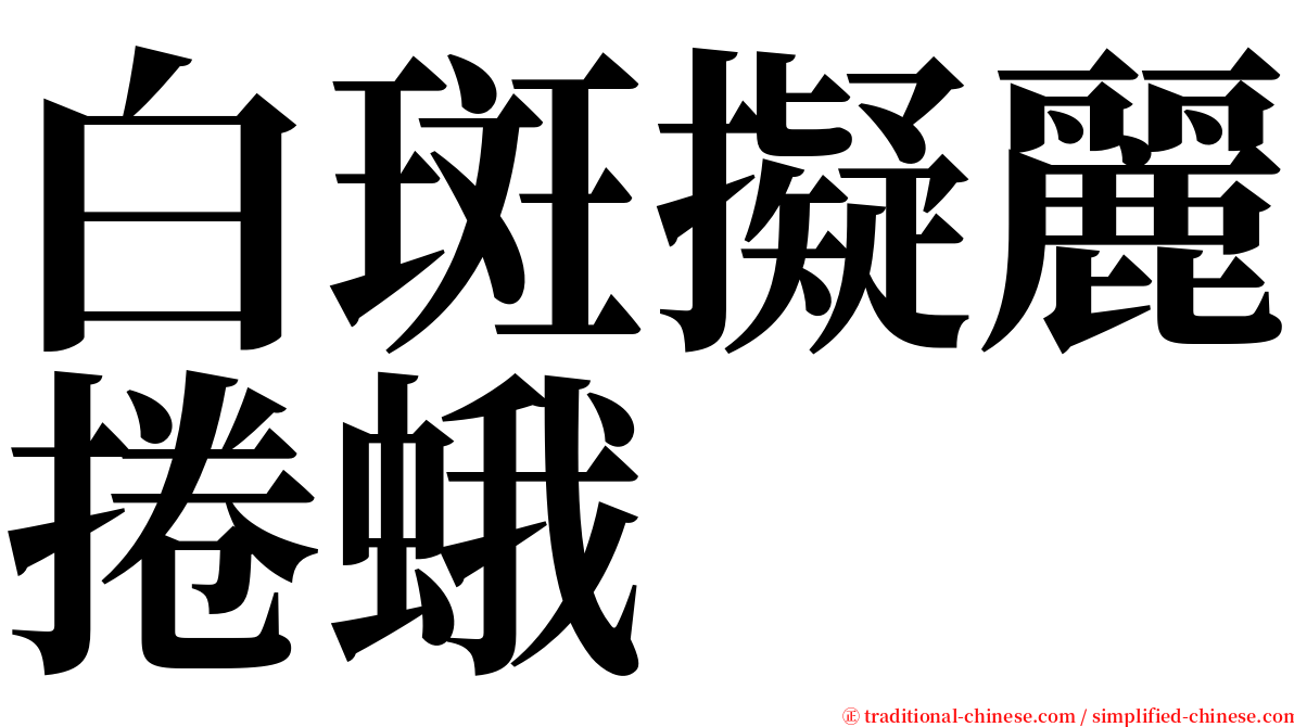 白斑擬麗捲蛾 serif font