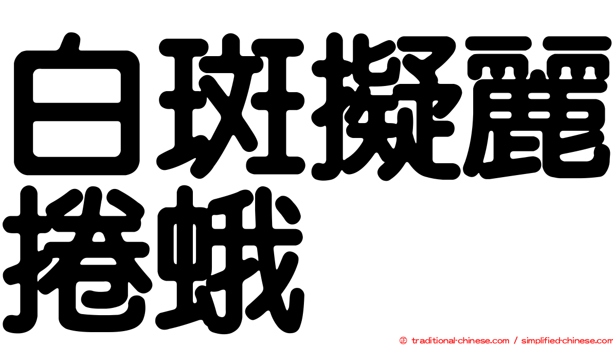 白斑擬麗捲蛾