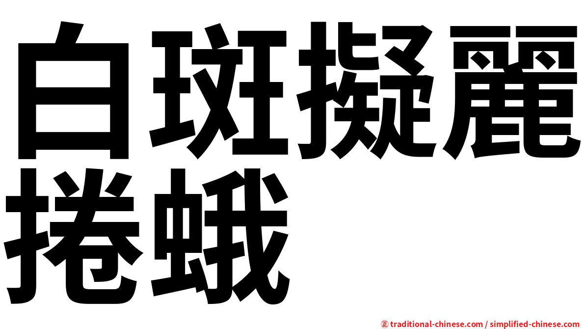 白斑擬麗捲蛾