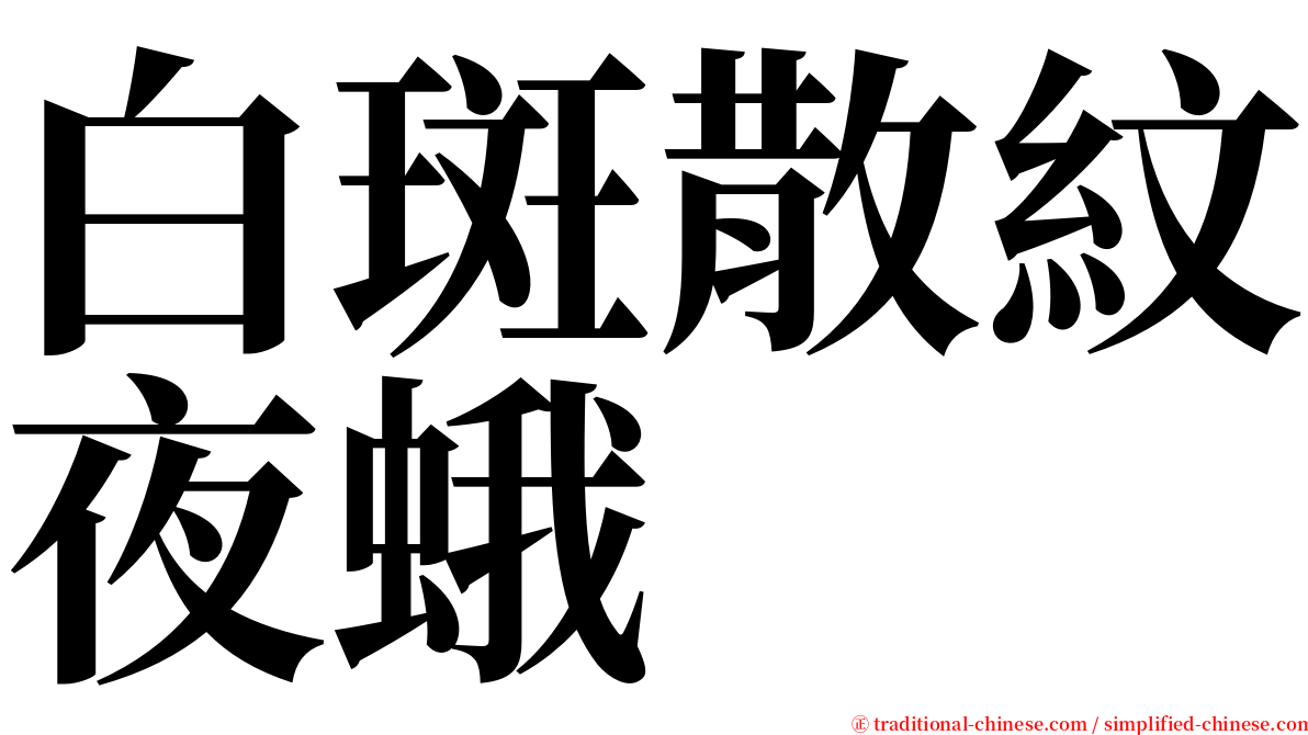 白斑散紋夜蛾 serif font