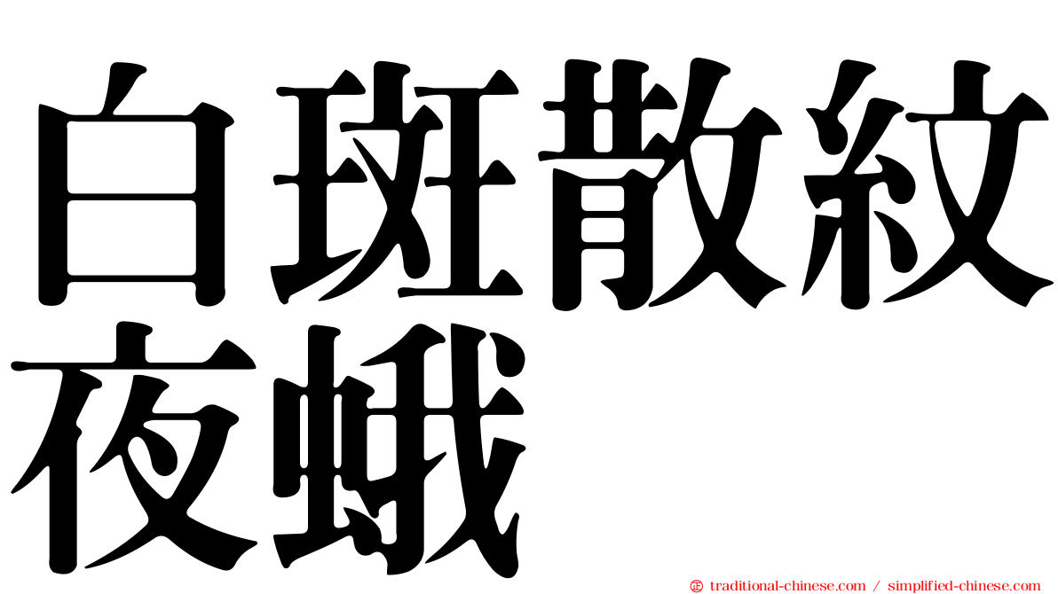 白斑散紋夜蛾
