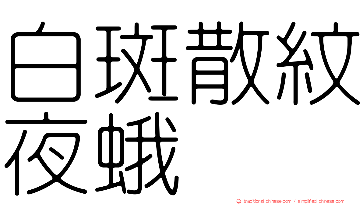 白斑散紋夜蛾