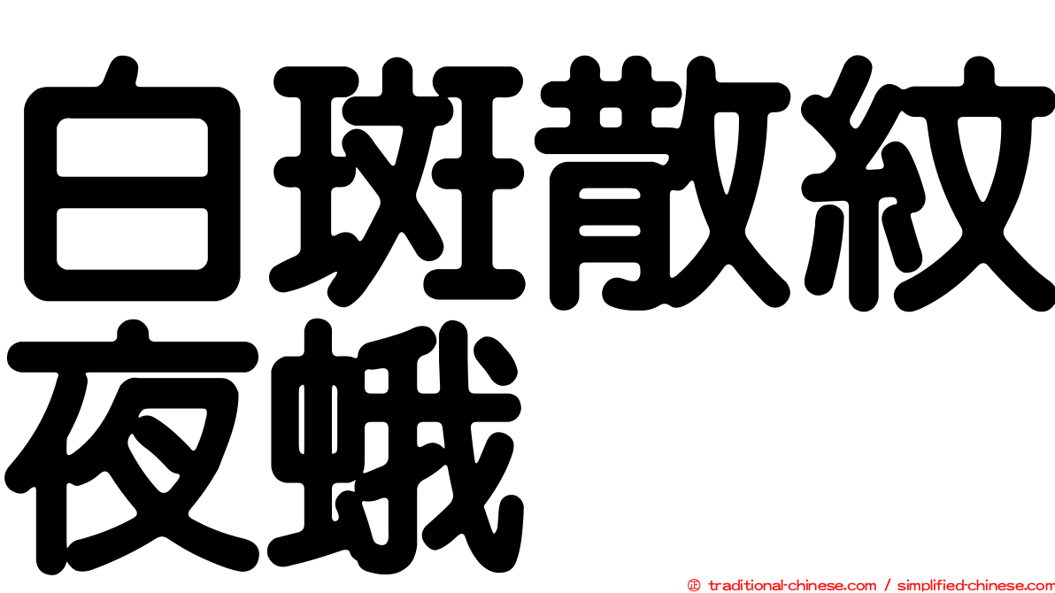 白斑散紋夜蛾