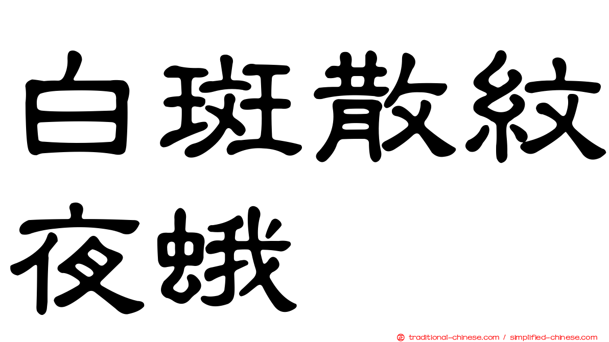 白斑散紋夜蛾