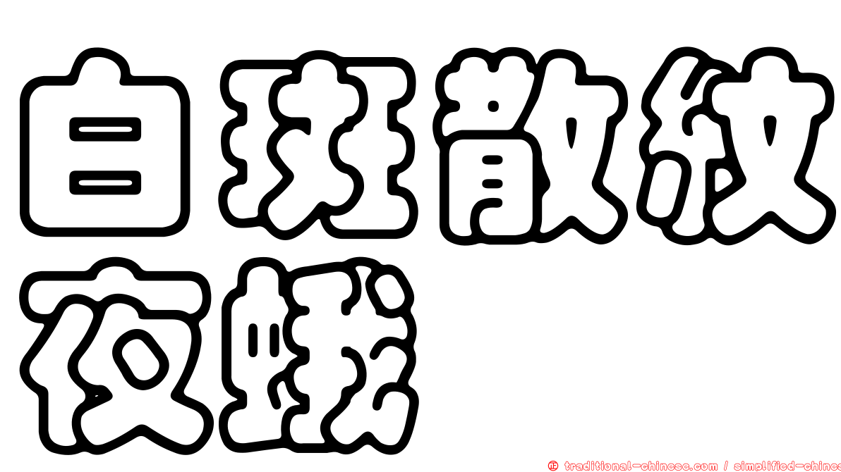 白斑散紋夜蛾