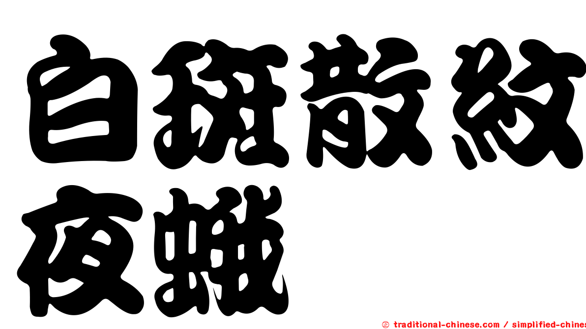 白斑散紋夜蛾
