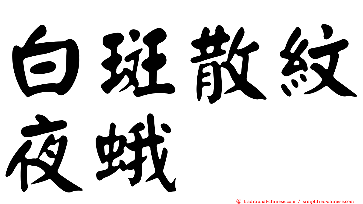 白斑散紋夜蛾