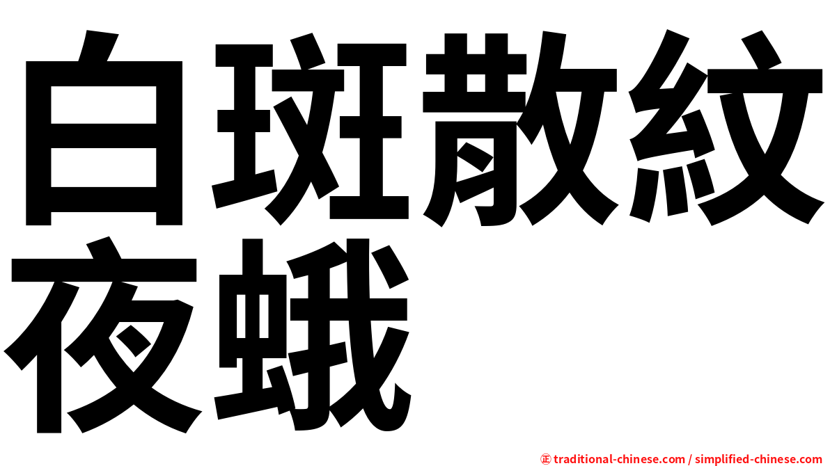 白斑散紋夜蛾