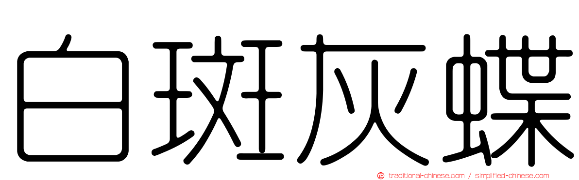 白斑灰蝶