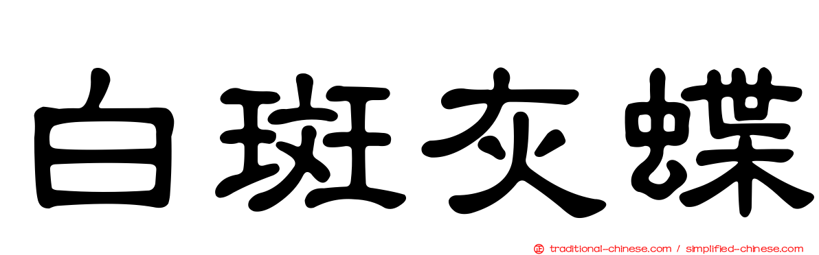 白斑灰蝶
