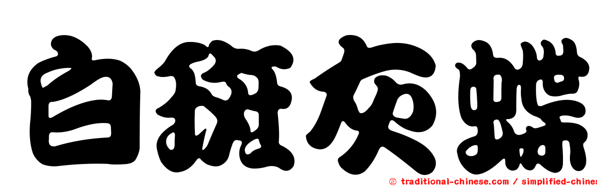 白斑灰蝶