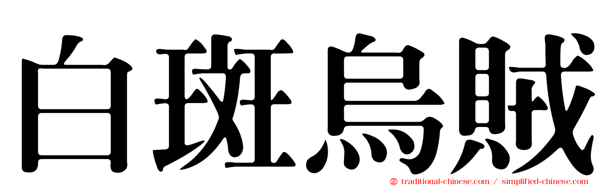 白斑烏賊