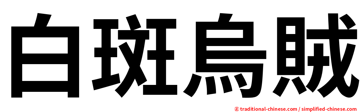 白斑烏賊