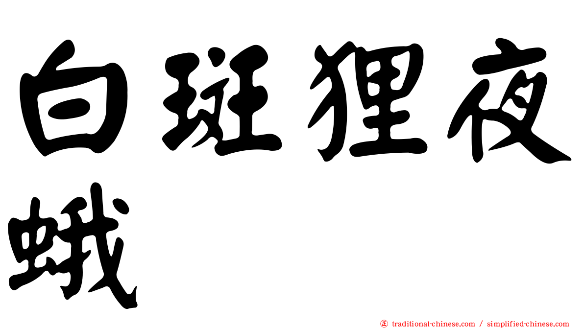 白斑狸夜蛾