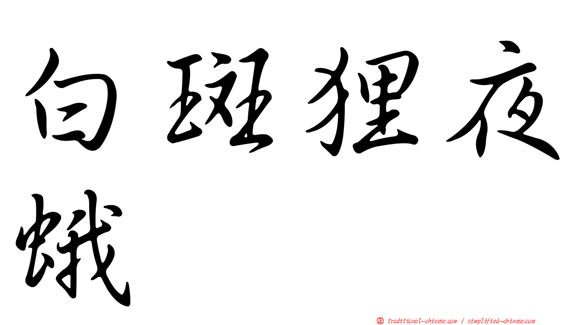 白斑狸夜蛾