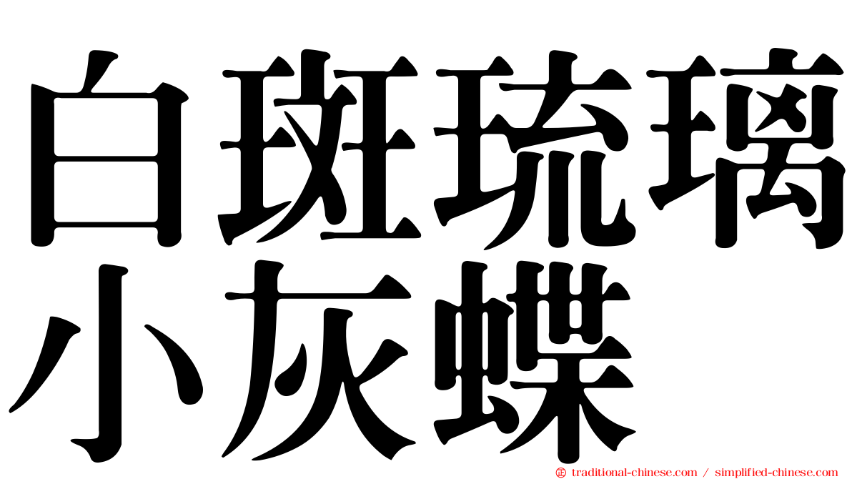 白斑琉璃小灰蝶