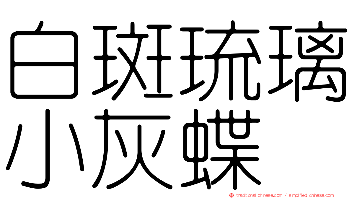 白斑琉璃小灰蝶