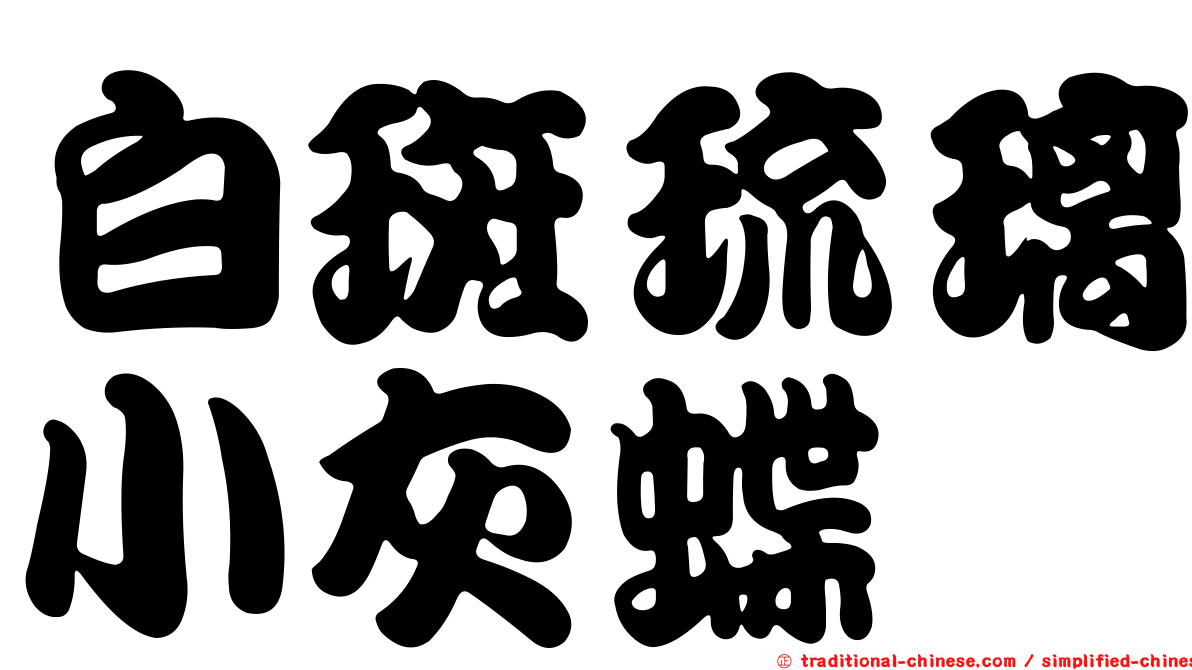白斑琉璃小灰蝶