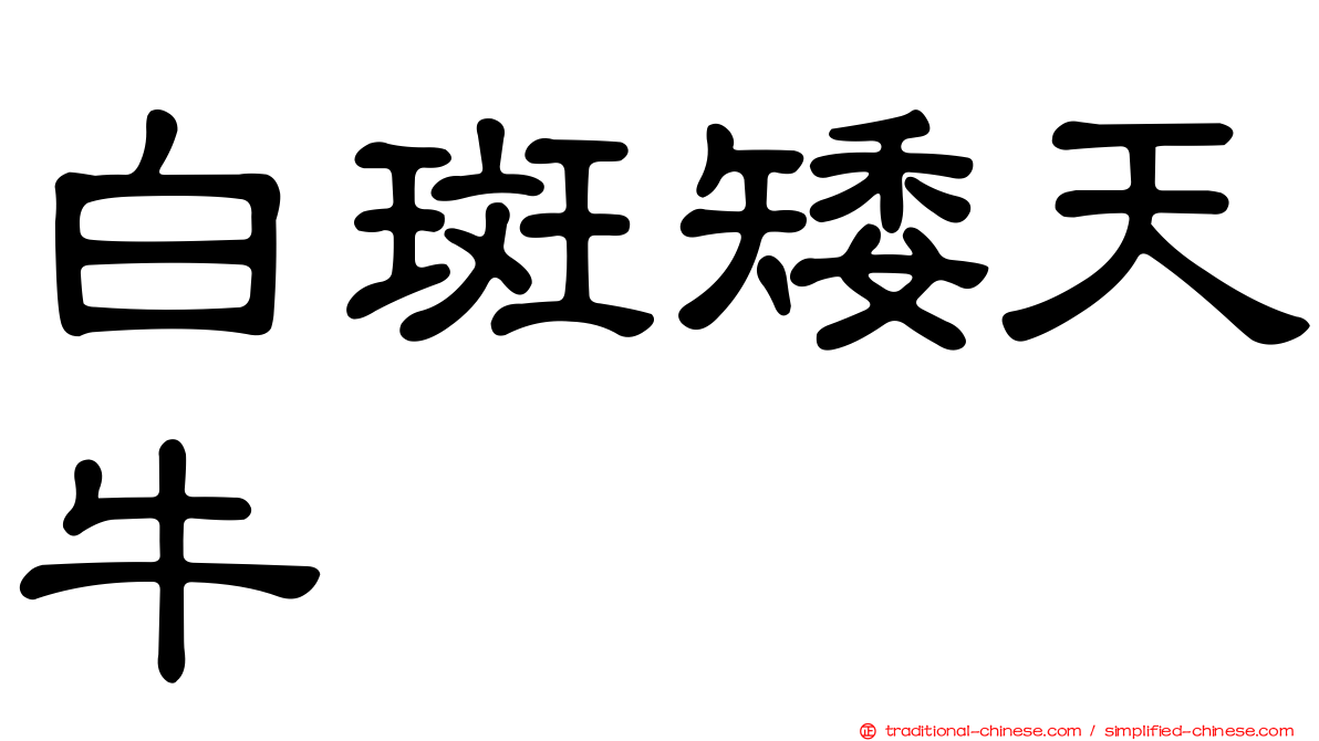 白斑矮天牛