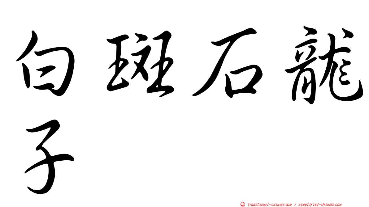 白斑石龍子
