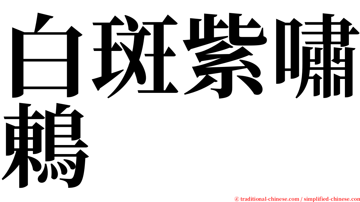 白斑紫嘯鶇 serif font