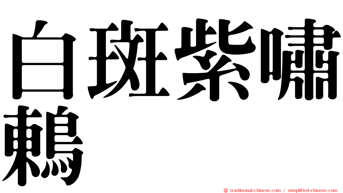 白斑紫嘯鶇