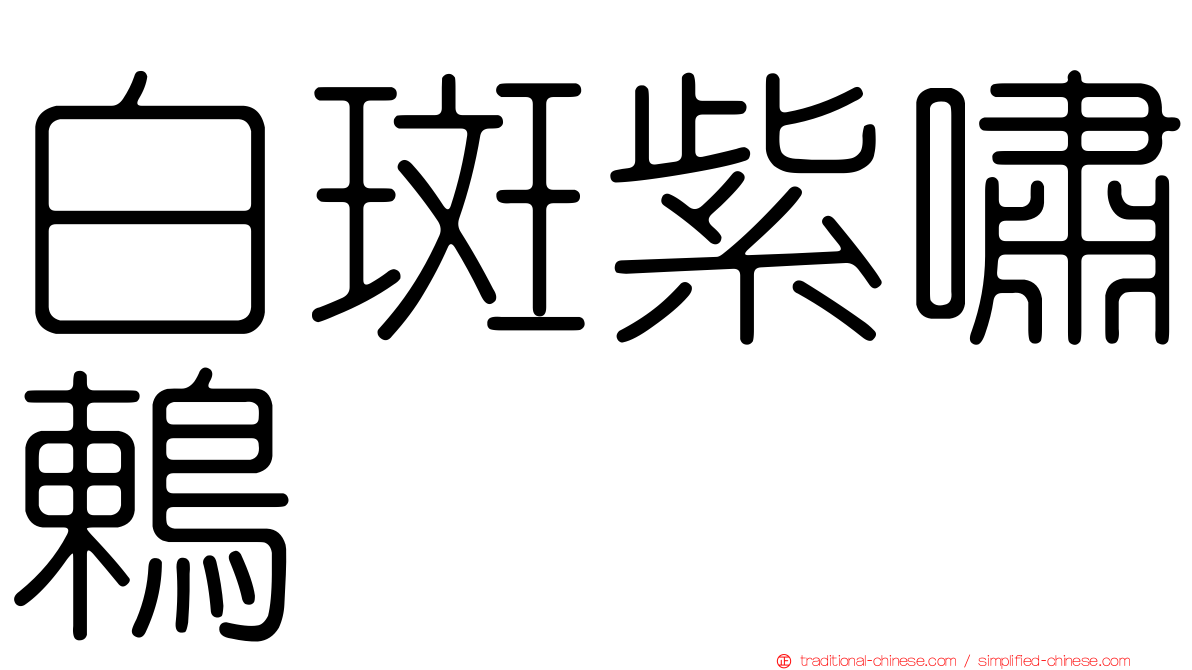 白斑紫嘯鶇