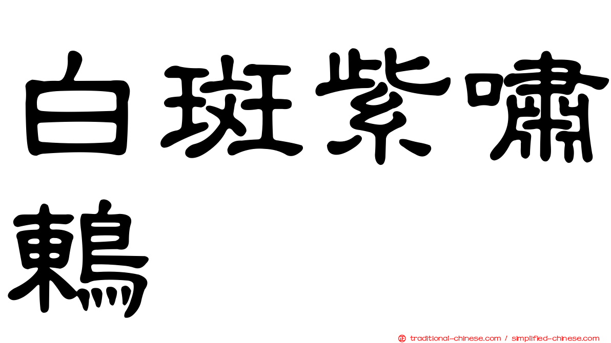 白斑紫嘯鶇