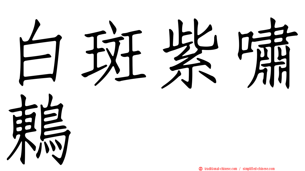 白斑紫嘯鶇
