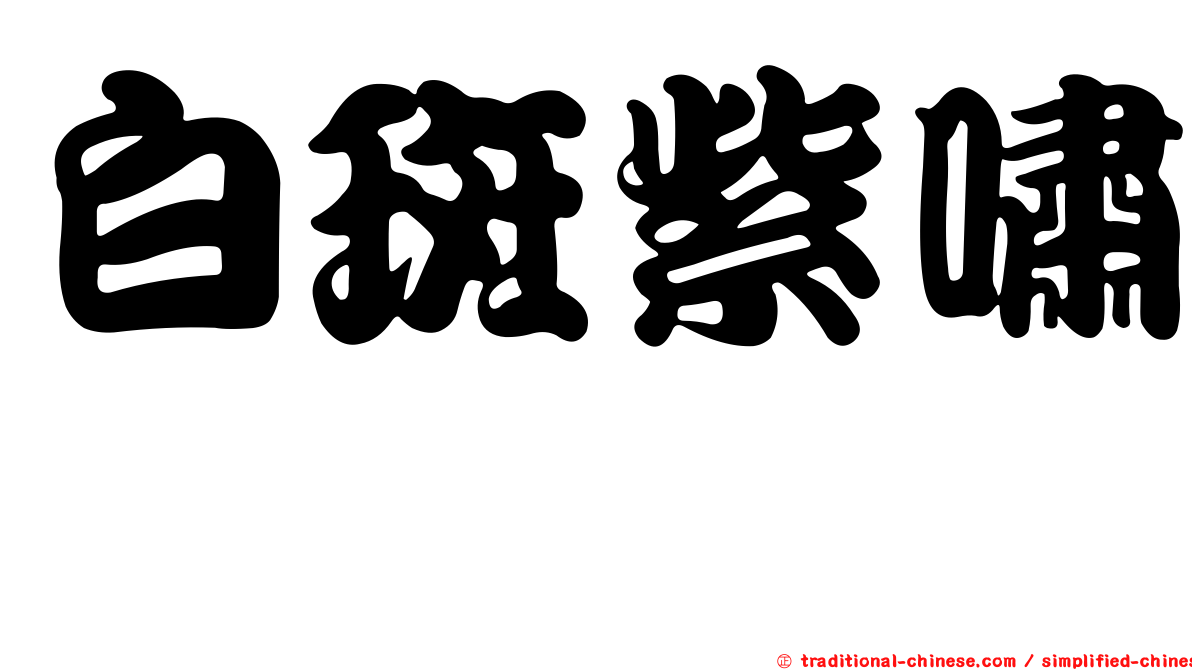 白斑紫嘯鶇