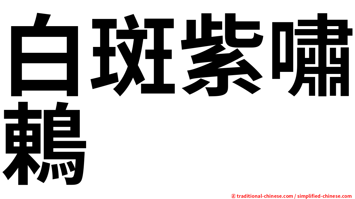 白斑紫嘯鶇