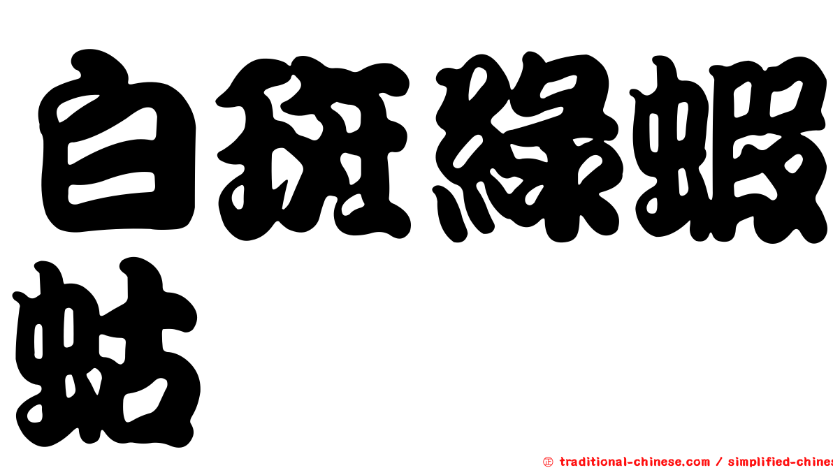 白斑綠蝦蛄
