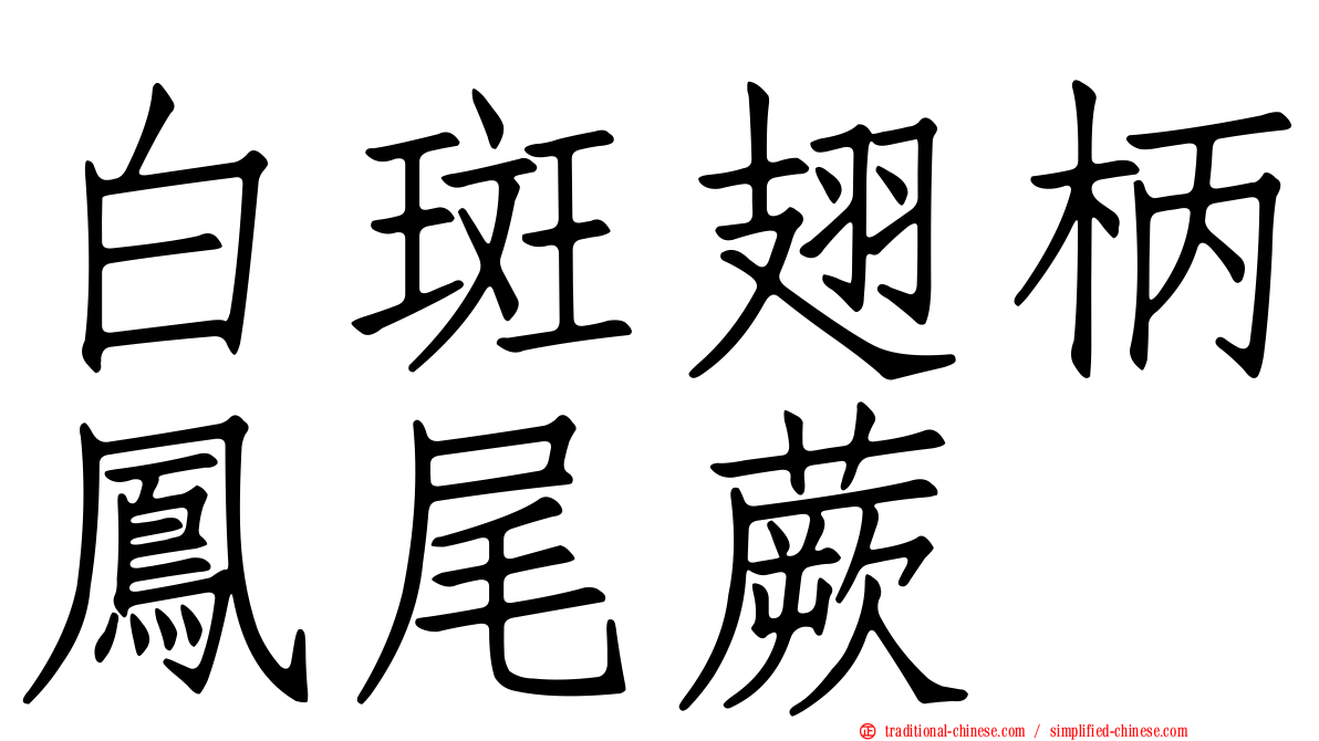 白斑翅柄鳳尾蕨