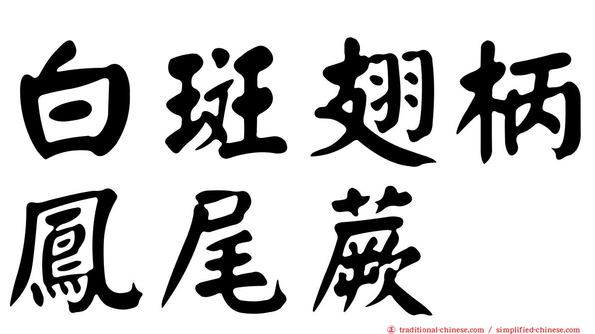 白斑翅柄鳳尾蕨