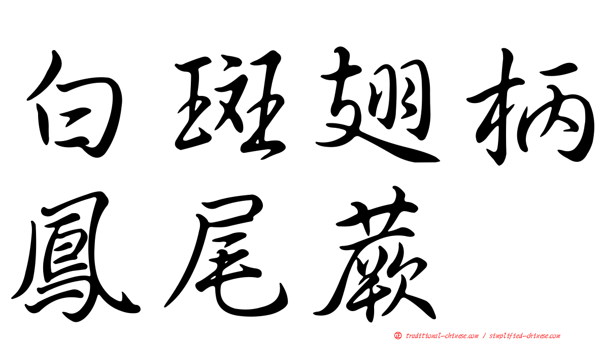 白斑翅柄鳳尾蕨