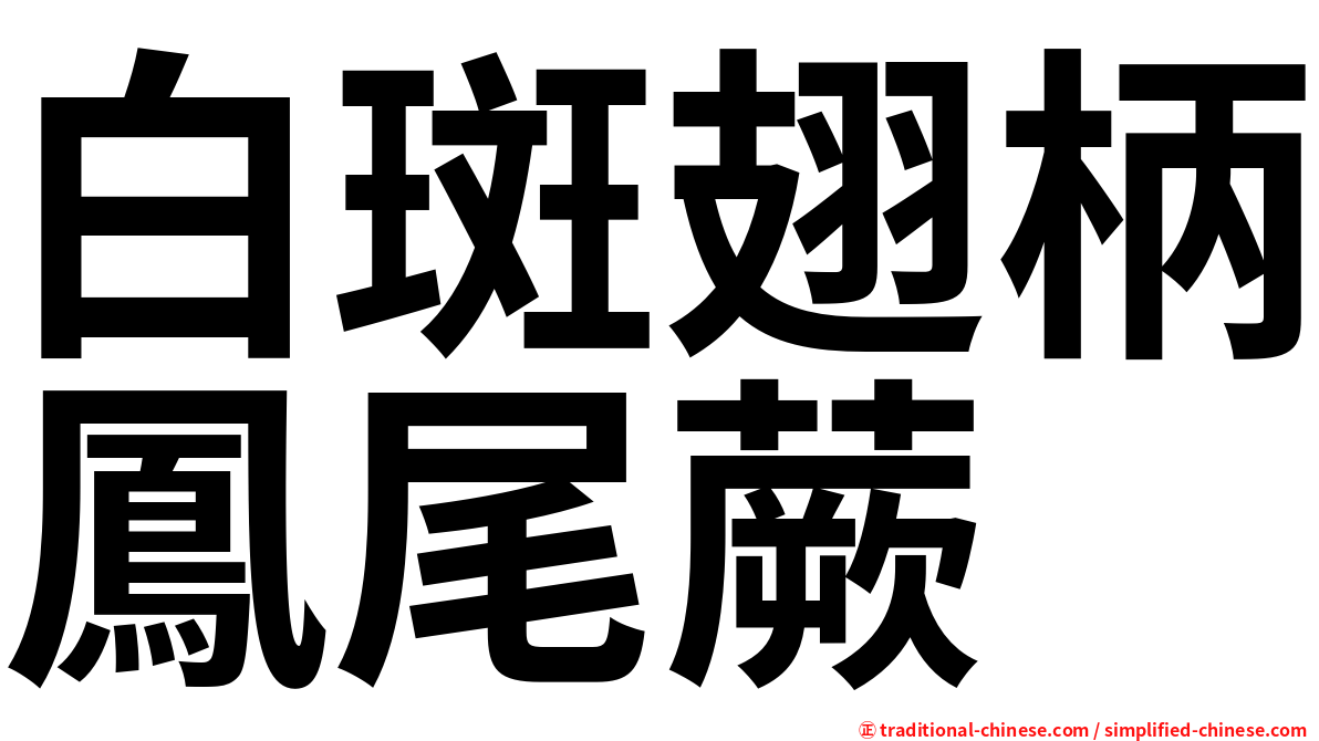 白斑翅柄鳳尾蕨